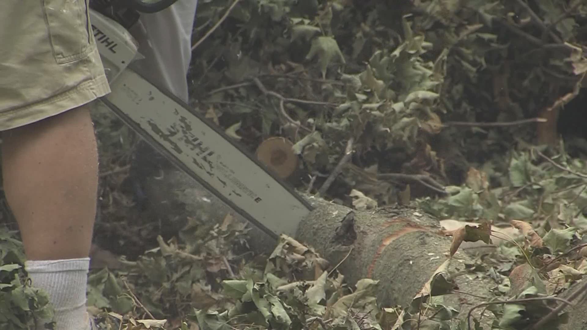 More than 200 people volunteered to help around the city, cutting up branches, clearing yards and disposing of debris.