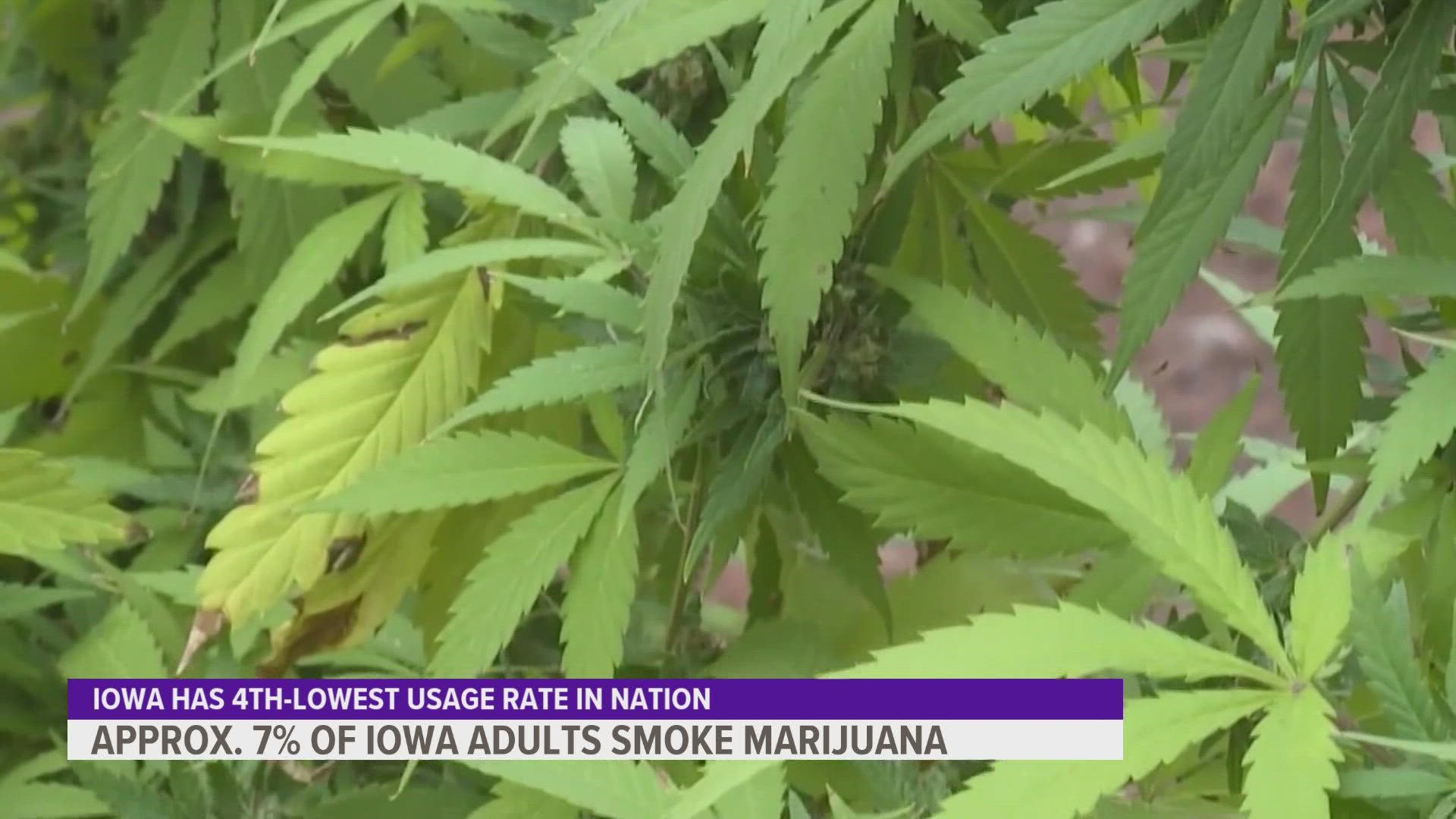 55% of drug arrests in Iowa are for marijuana, amid growing support for its legalization.