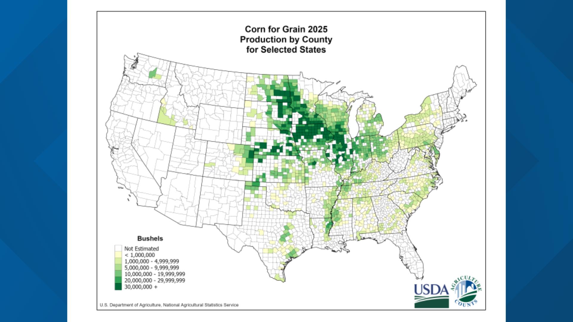 Corn sweat: How the Midwest's cash crop affects the humidity and heat ...