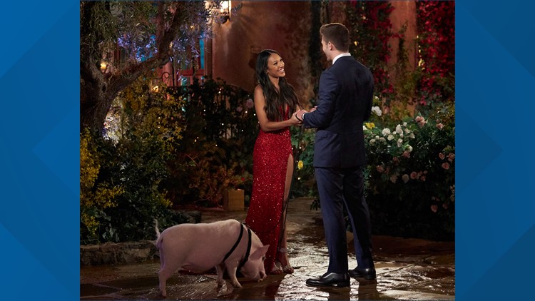 Iowa's own Mercedes Northup brings pig to 'The Bachelor' season premiere