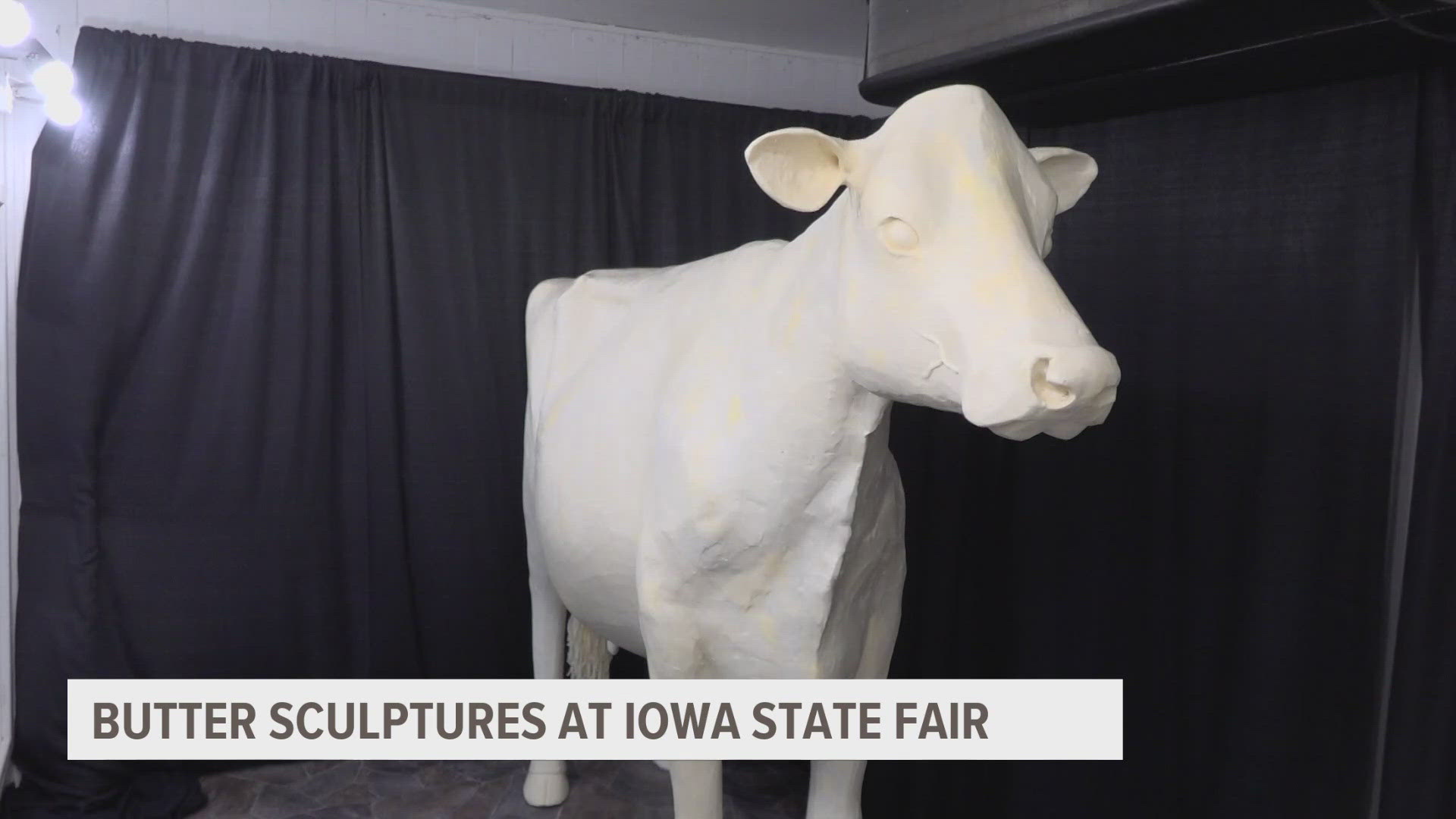 Butter sculptors will also create a likeness of Iowan Steve Higgins, the announcer and producer of "The Tonight Show", as well as a sky glider seat.