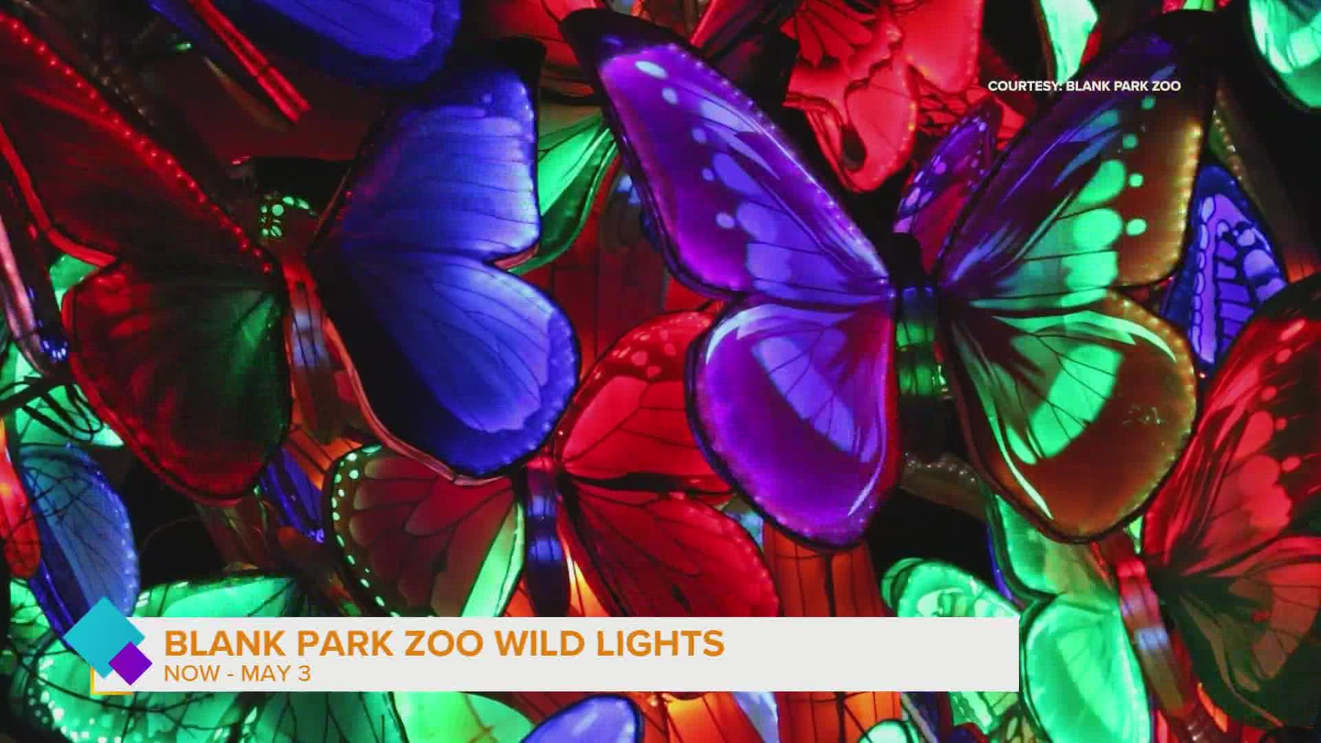 Anne Shimerdla, CEO-Blank Park Zoo shows us activities at the Eggstravaganza at the Zoo on April 16th and Wild Lights now through May 30th!