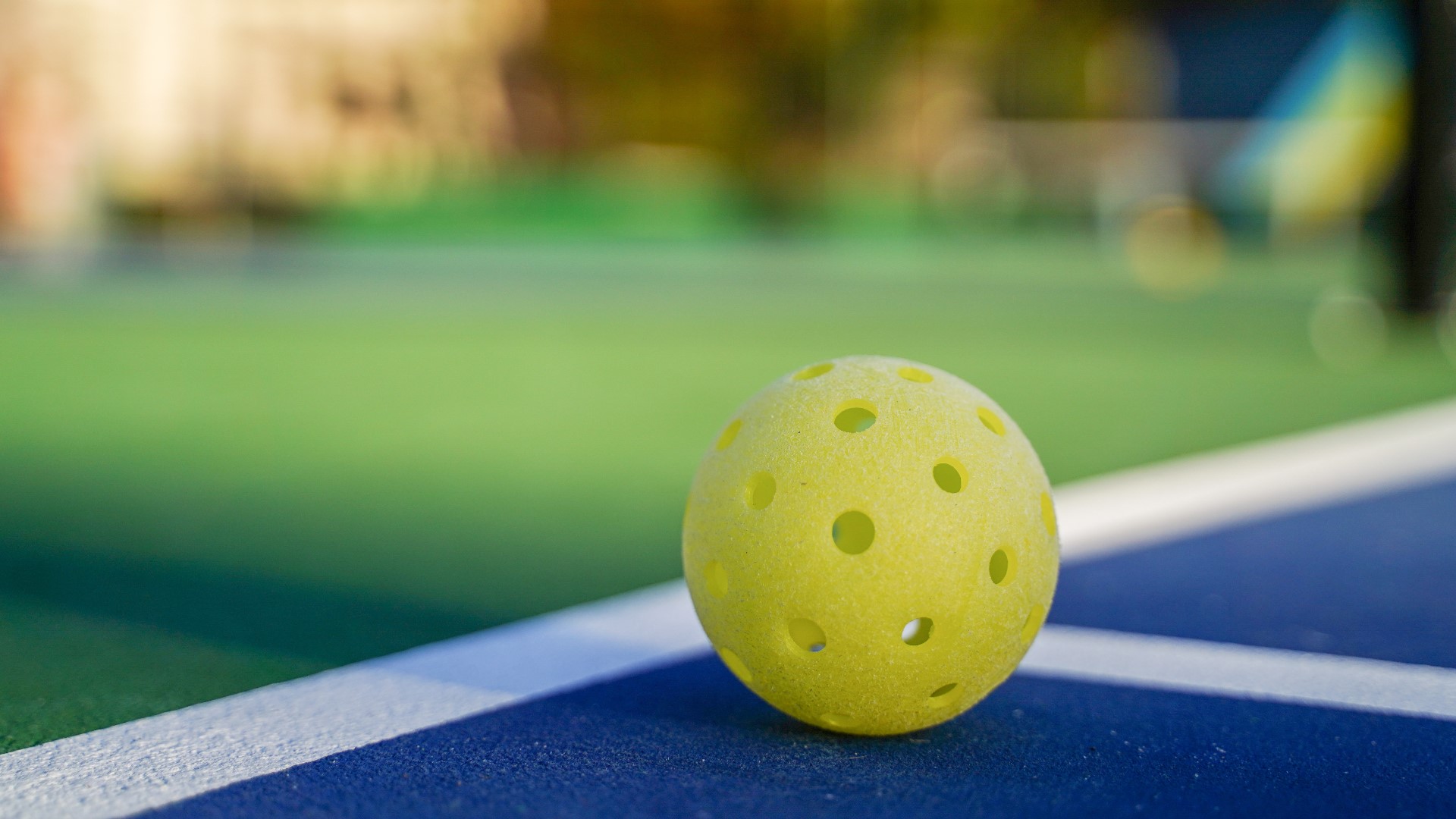 Billed as the "Des Moines area's only 100% dedicated indoor pickleball venue", Dinks will span 70,000 square feet and feature 13 professional pickleball courts.