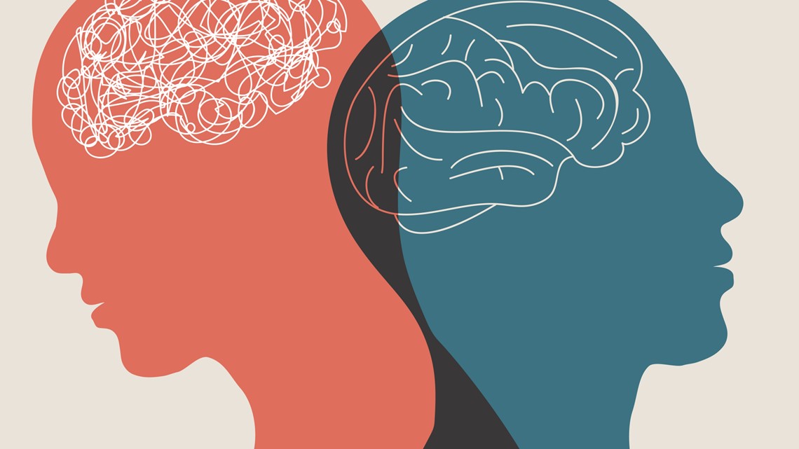 Quad City paraeducators selected for mental health fellowship - Vimarsana News