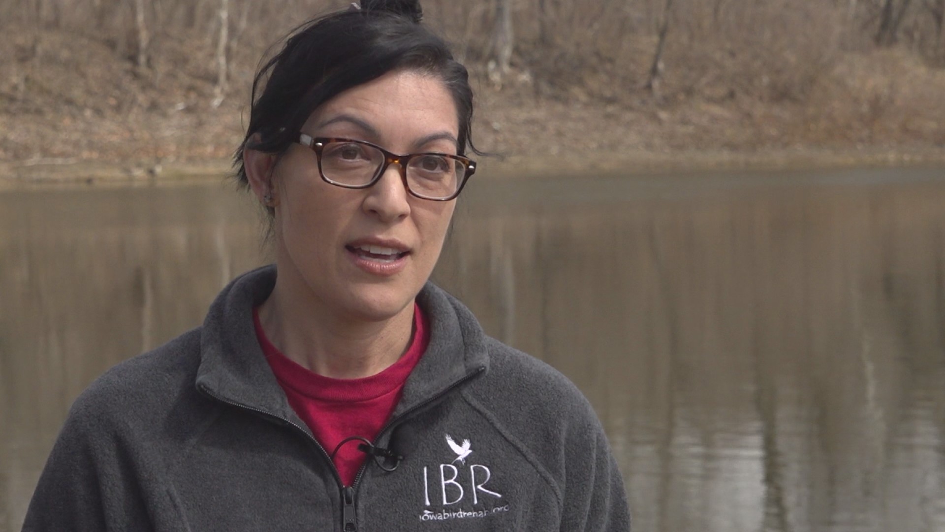 "It's heartbreaking to watch them because they're sick, and they don't look good, and then they won't eat," Iowa Bird Rehabilitation founder Jenni Boonjakuakul said.