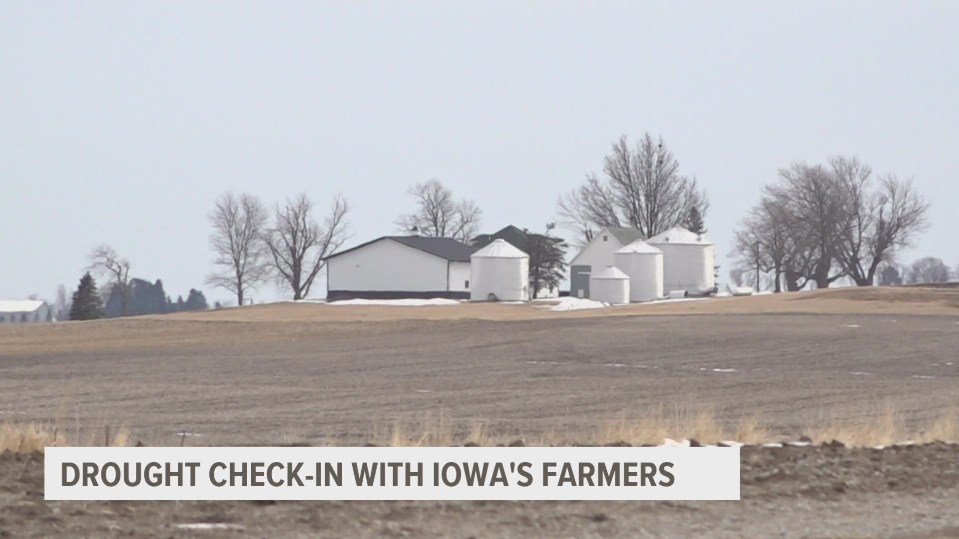 With very little precipitation over the past month, here's what that means for central Iowa crops.