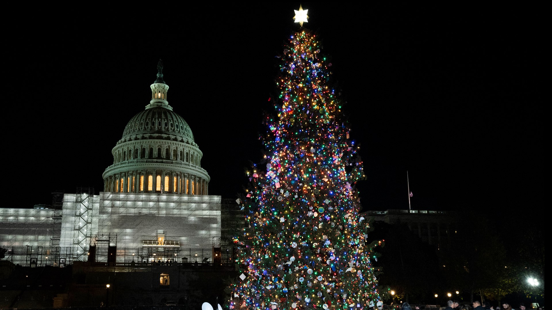 A 63-foot Norway spruce from West Virginia is on its way to becoming the U.S. Capitol Christmas tree.