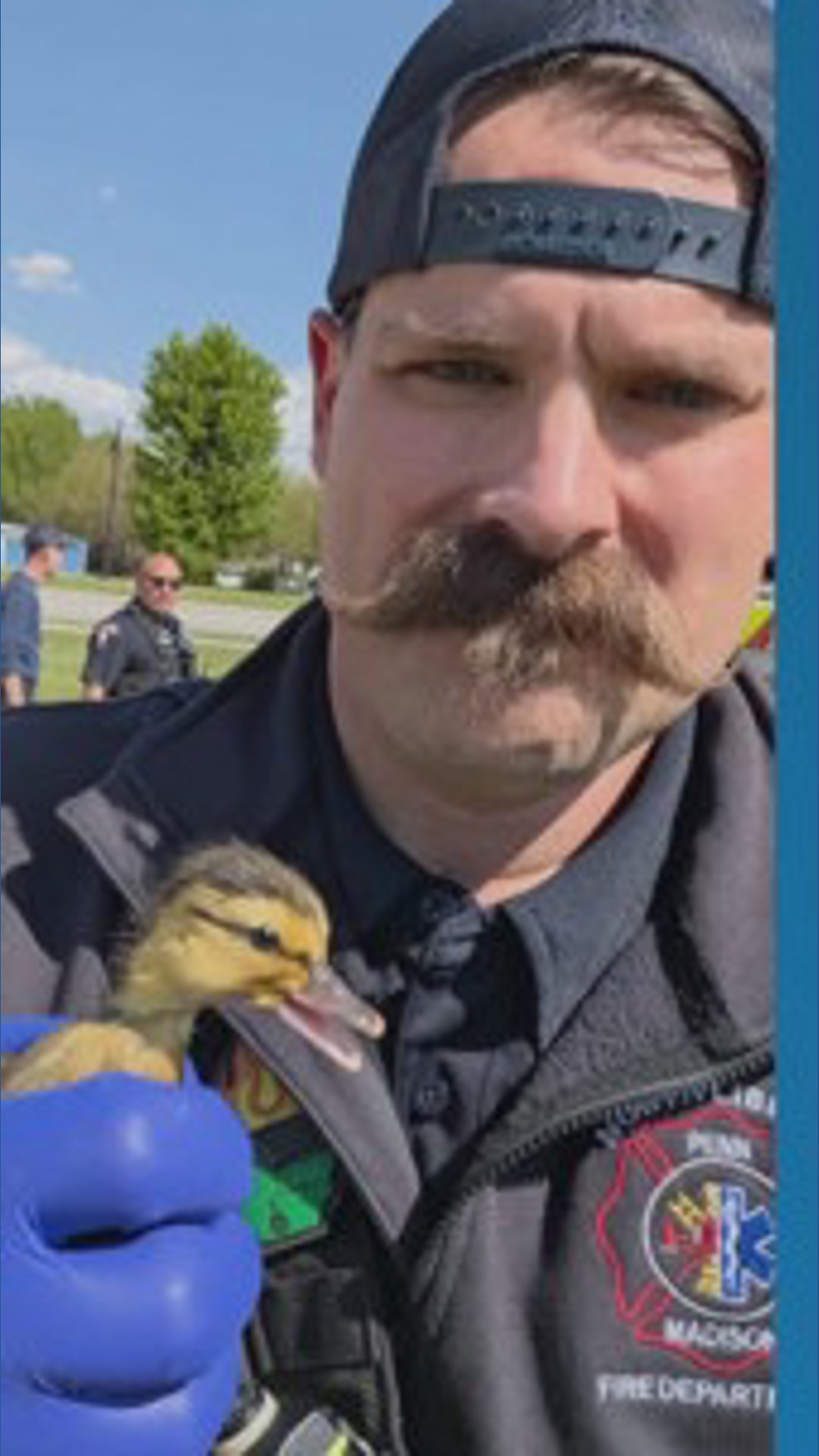 North Liberty first responders save ducklings from storm drain ...