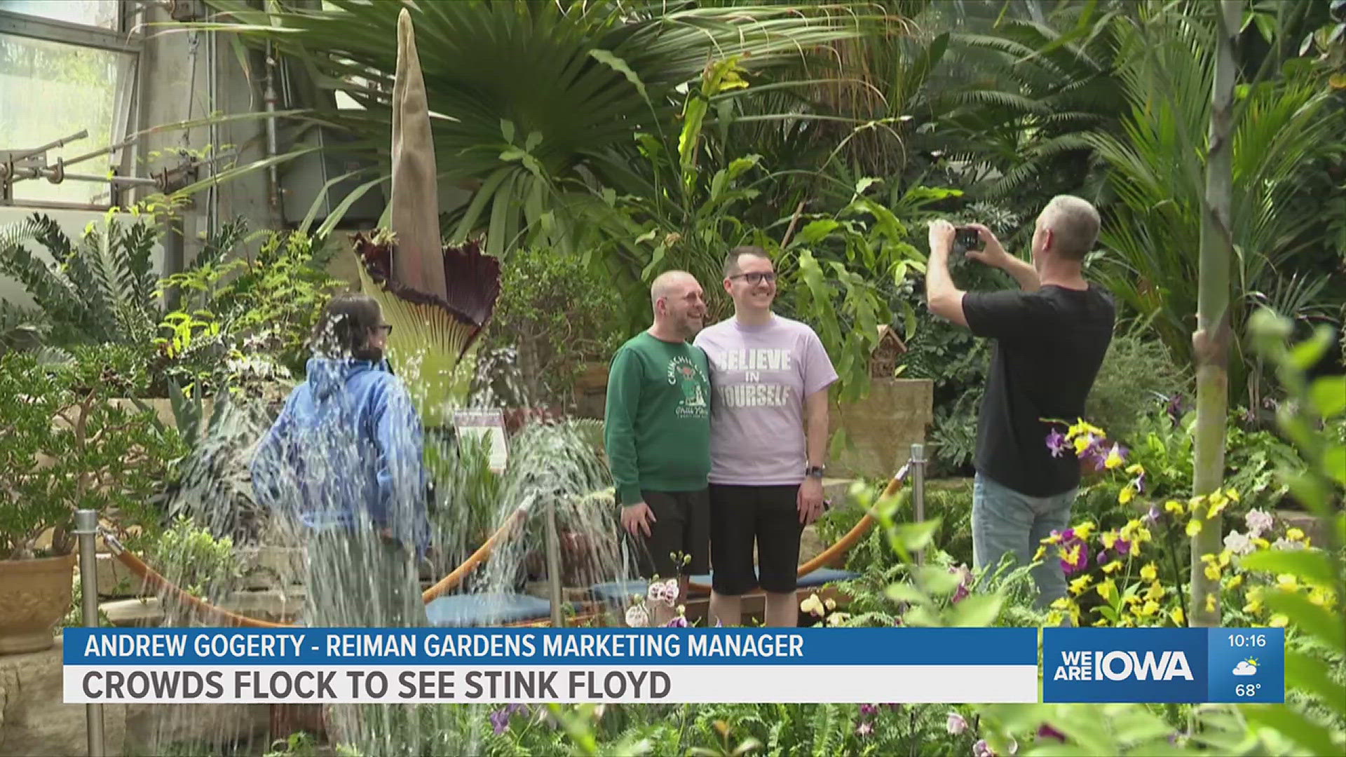 With its short time of blooming, crowds flocked to the strange plant for a chance to smell its odd odor.
