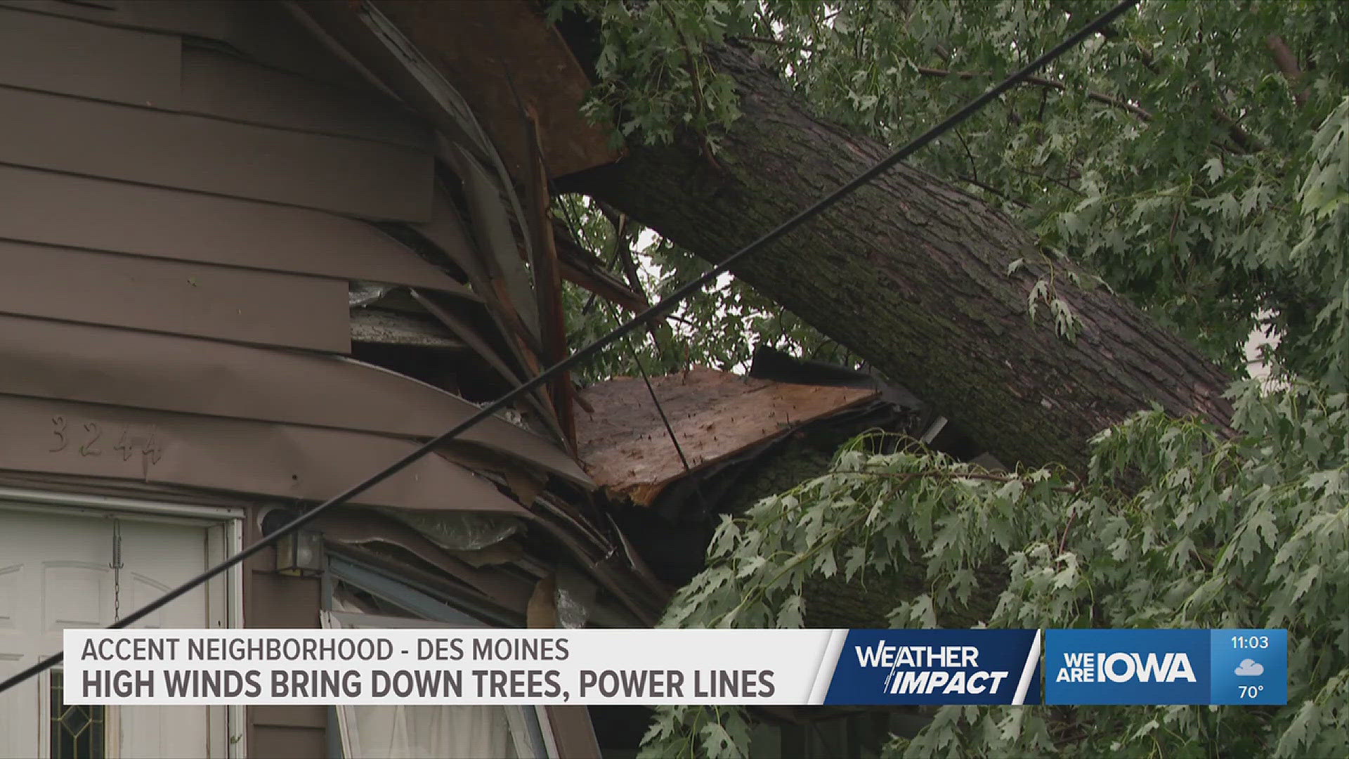 High winds bring down trees, power lines | weareiowa.com