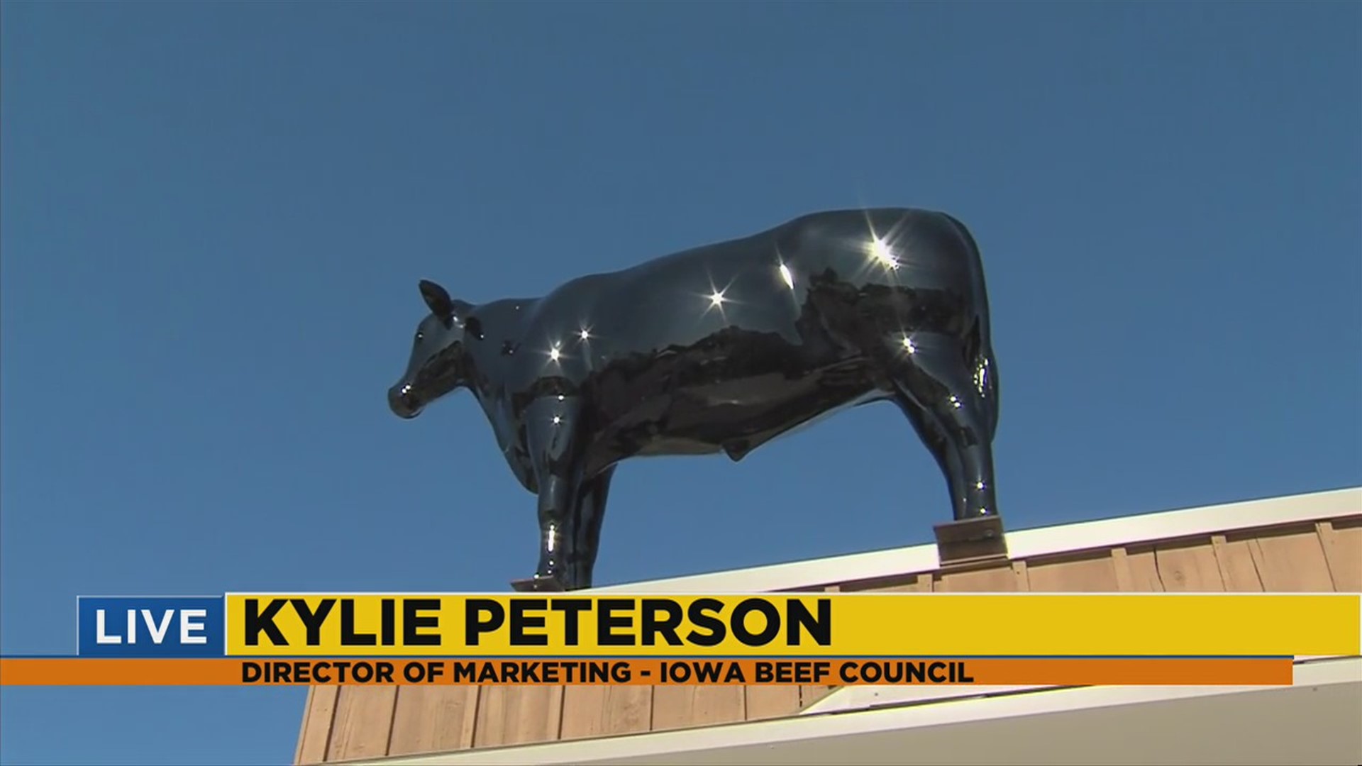 Iowa Beef Council - iowa State Fair