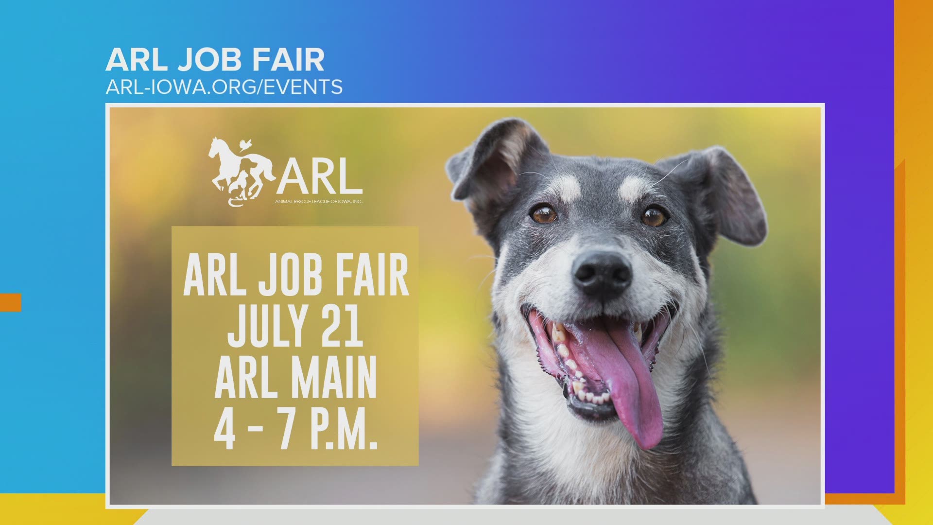 Kathryn Vry, Dog Behavior and Training Assistant, talks about the dog training classes, Home for the Summer & Job Fair being offered at the ARL!