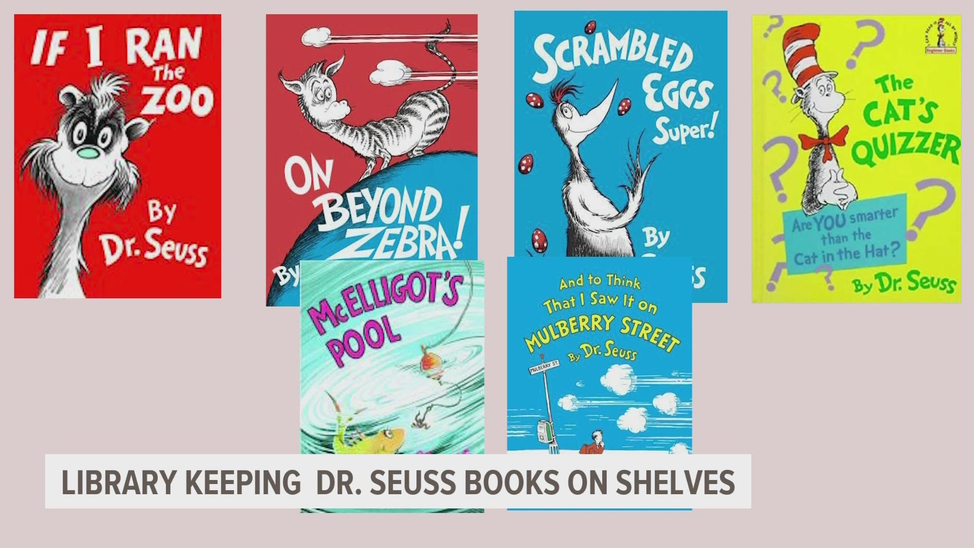 Banned Dr. Seuss McElligot's Pool Book top