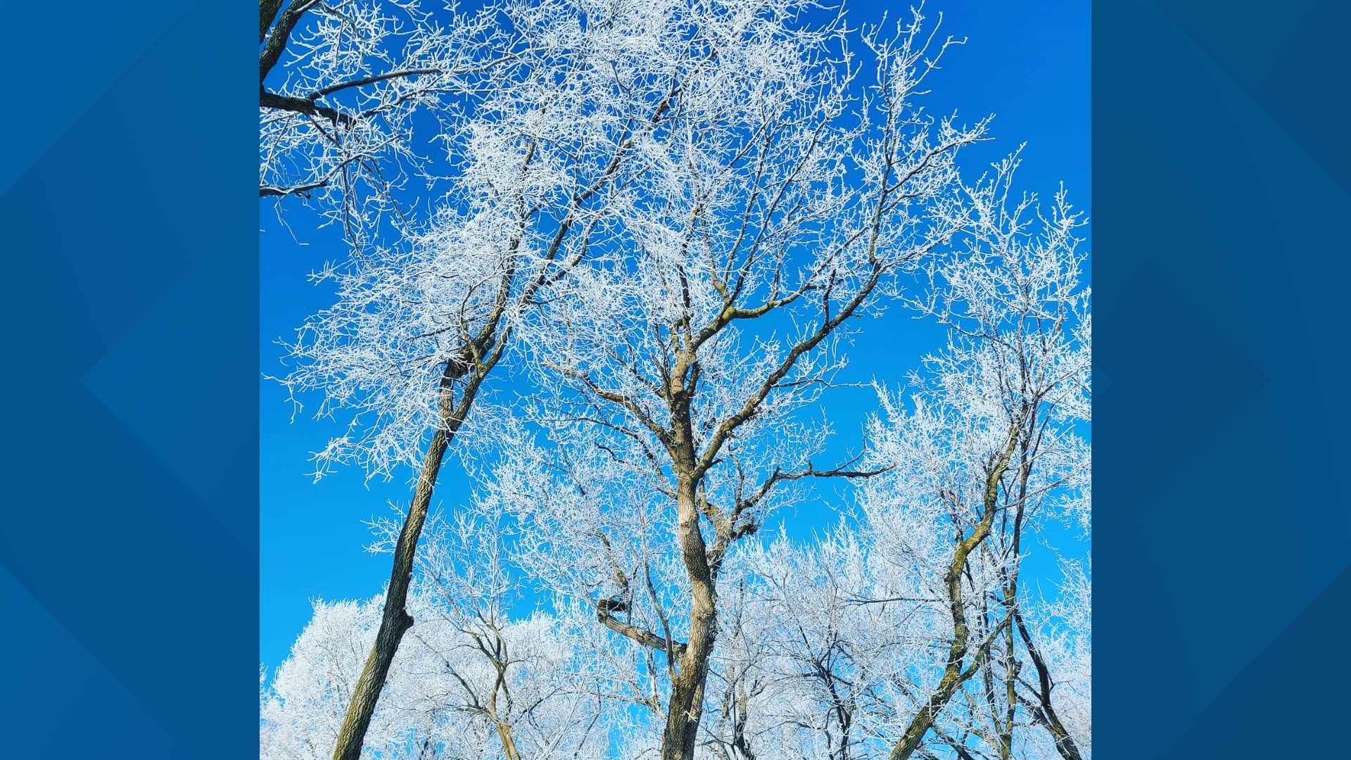 The difference between hoar frost and rime ice