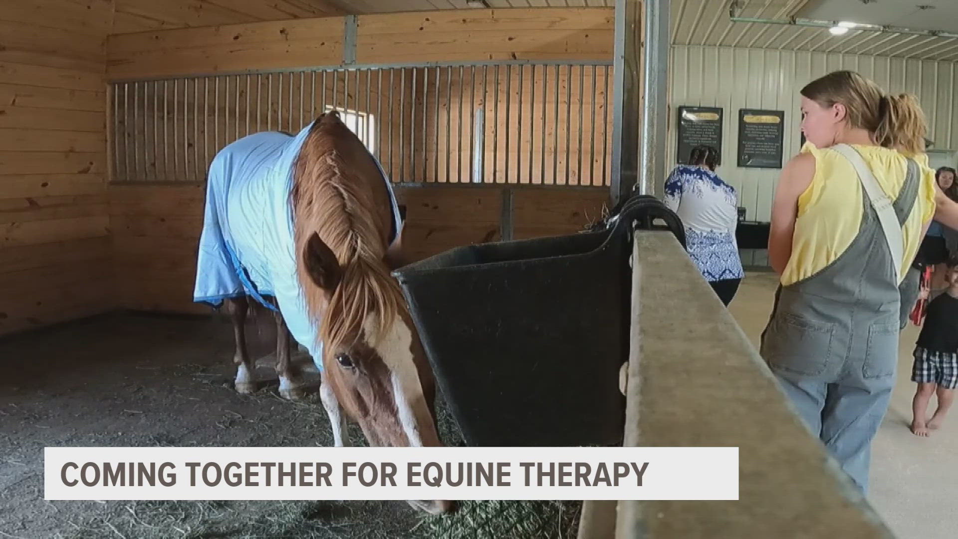 Excelsior Ranch in Princeton, Iowa offers a way to help treat trauma through equine therapy.