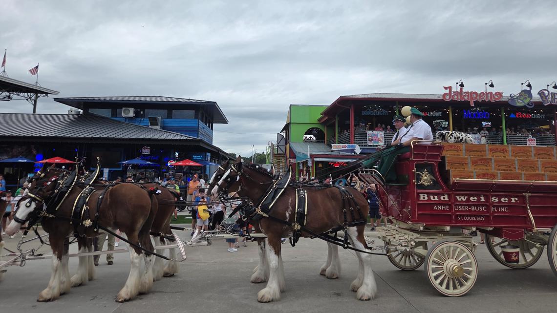 Day 10 guide to the Iowa State Fair: Chili Cook Off, llamas, demolition ...