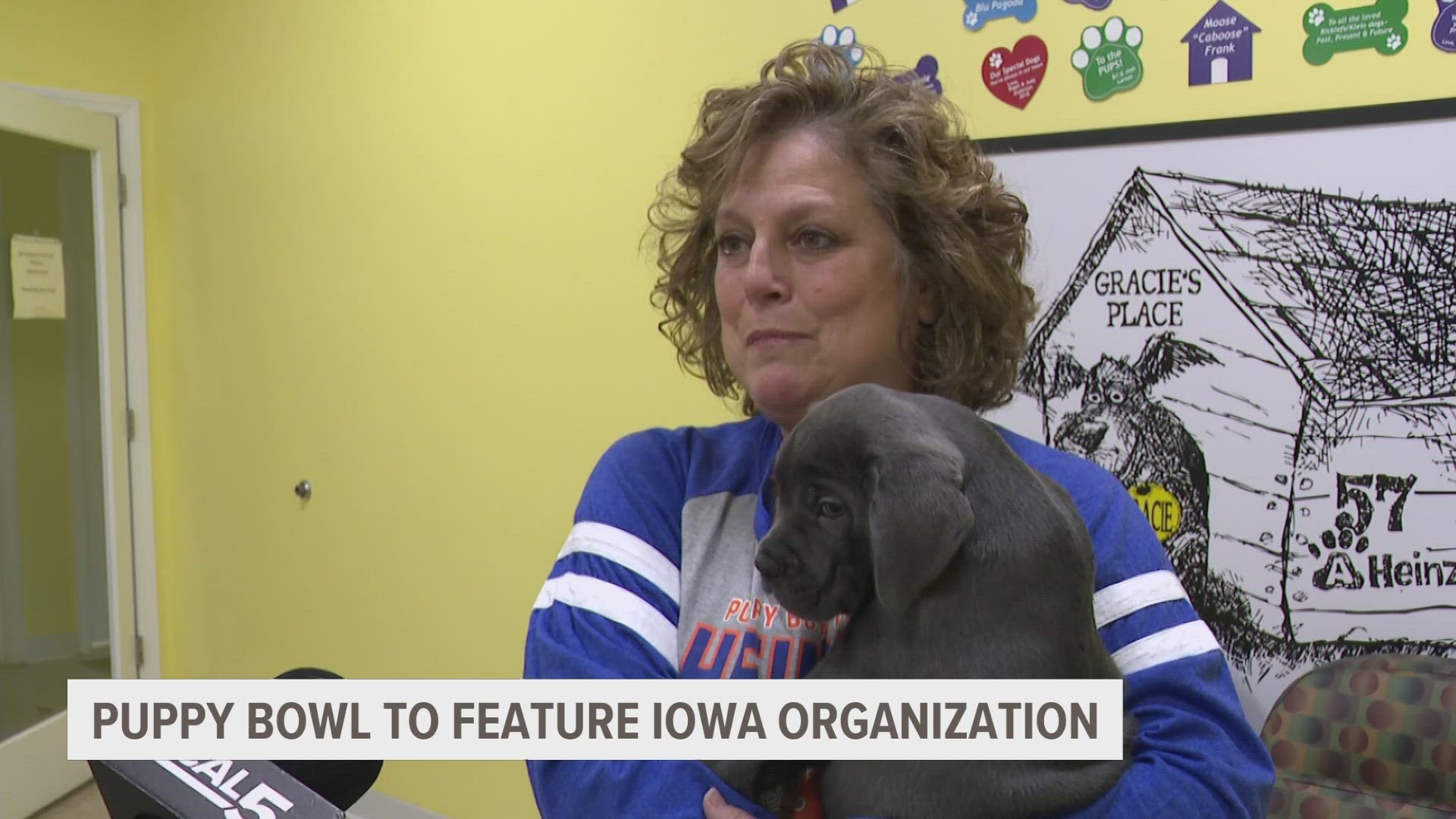 This is the 12th year AHeinz57 has sent rescue dogs to the Puppy Bowl