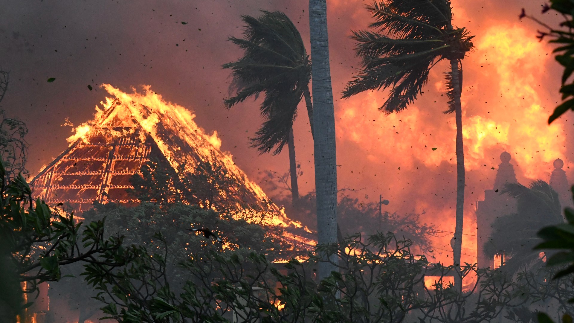 Hawaii emergency management records show no indication that warning sirens were triggered before a devastating wildfire destroyed through a historic town.