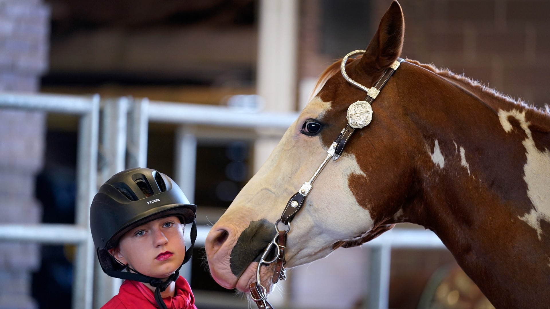 There are many different animal shows across the fair, but this year, a national horse show is making its way to the fairgrounds. 