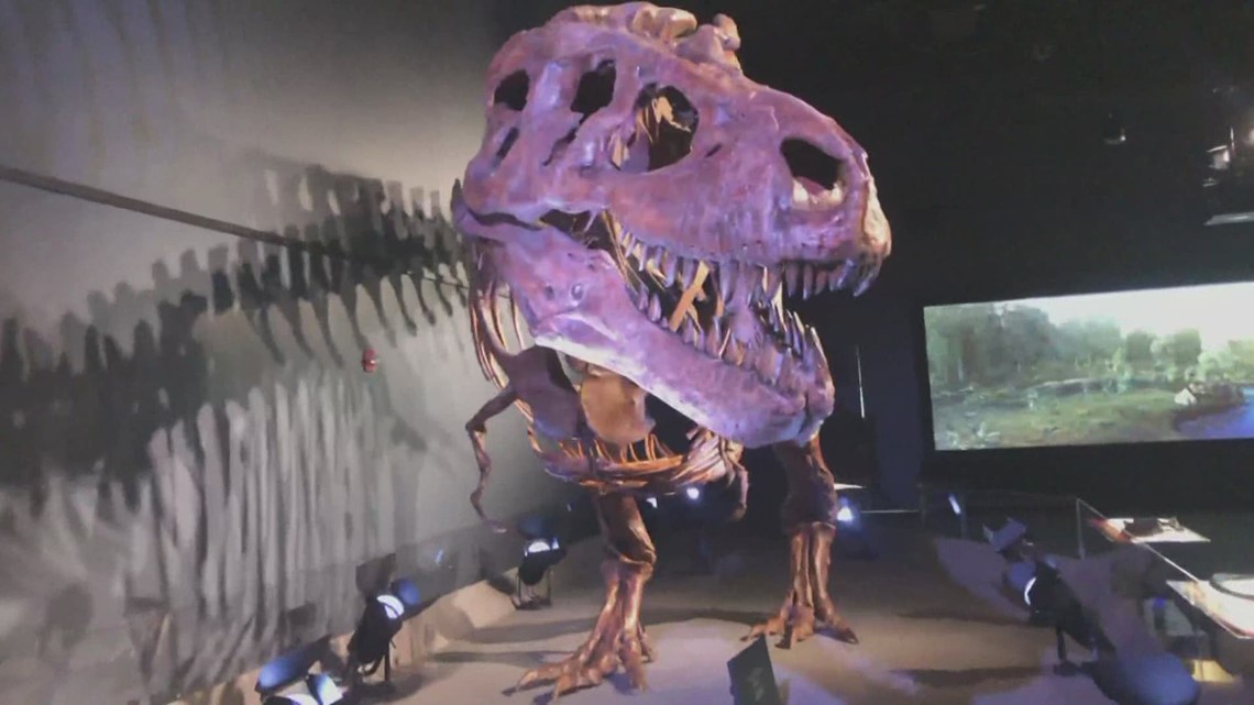 science center t rex