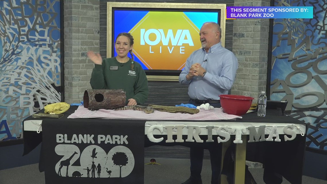 Meet Marcy the Sassy Skink! Blank Park Zoo walks us through a hands-on ...