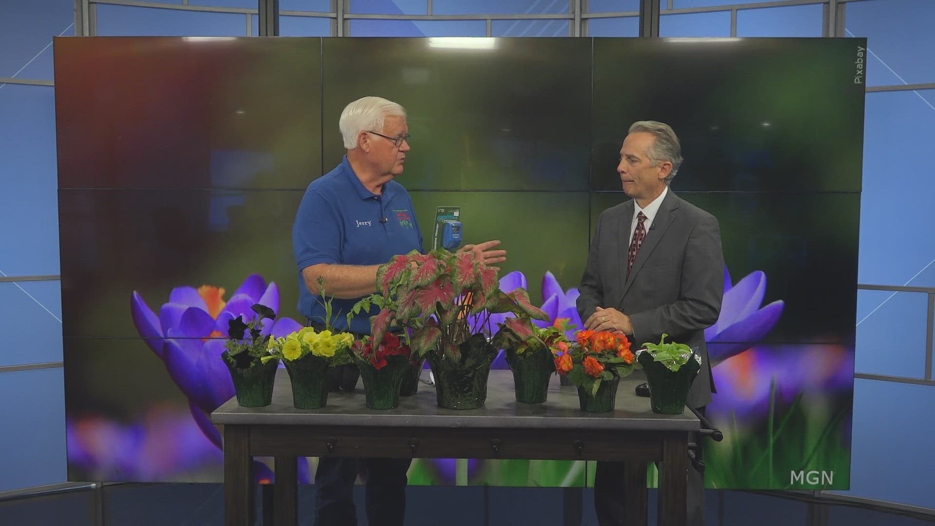 Jerry Holub with Holub Greenhouses walks you through what to plant when for the summer garden of your dreams.