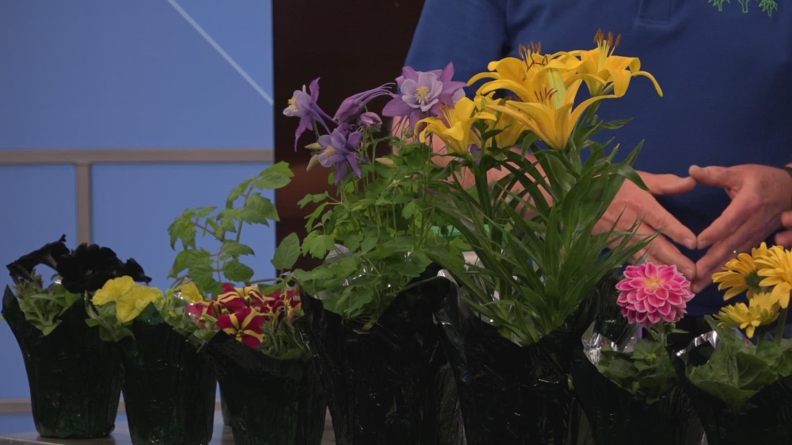 Early spring planting with Holub Greenhouses