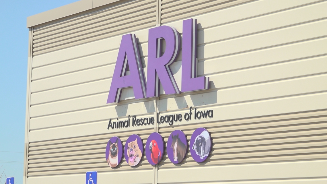 Dog behaviour expert shares safety tips after fatal attack in Des Moines
