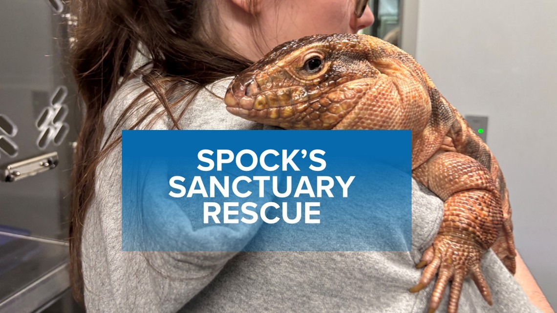 Spock's Sanctuary sees community support after fire leaves reptiles homeless