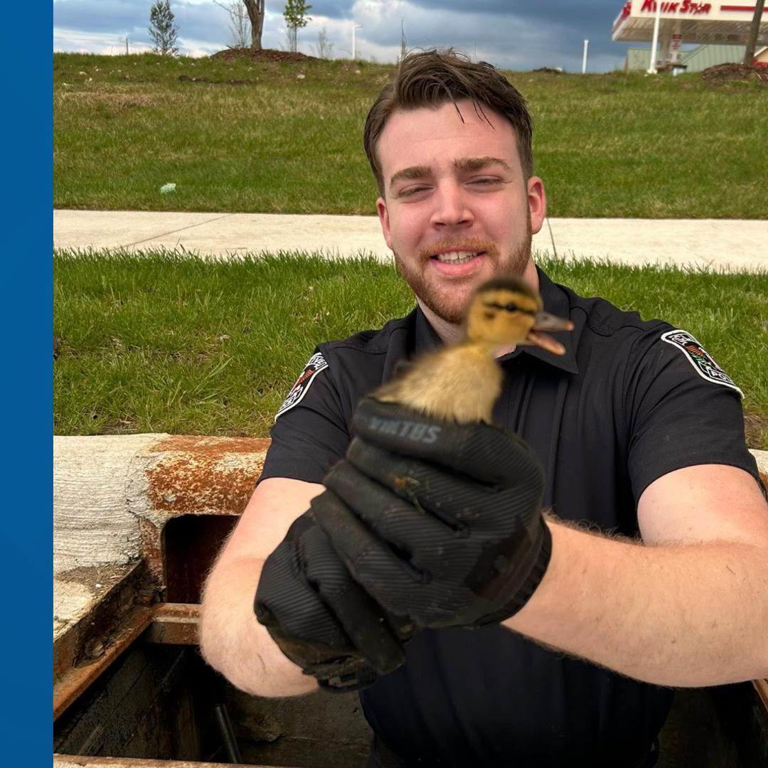 Clive police officer earns PETA award for rescuing baby duck ...