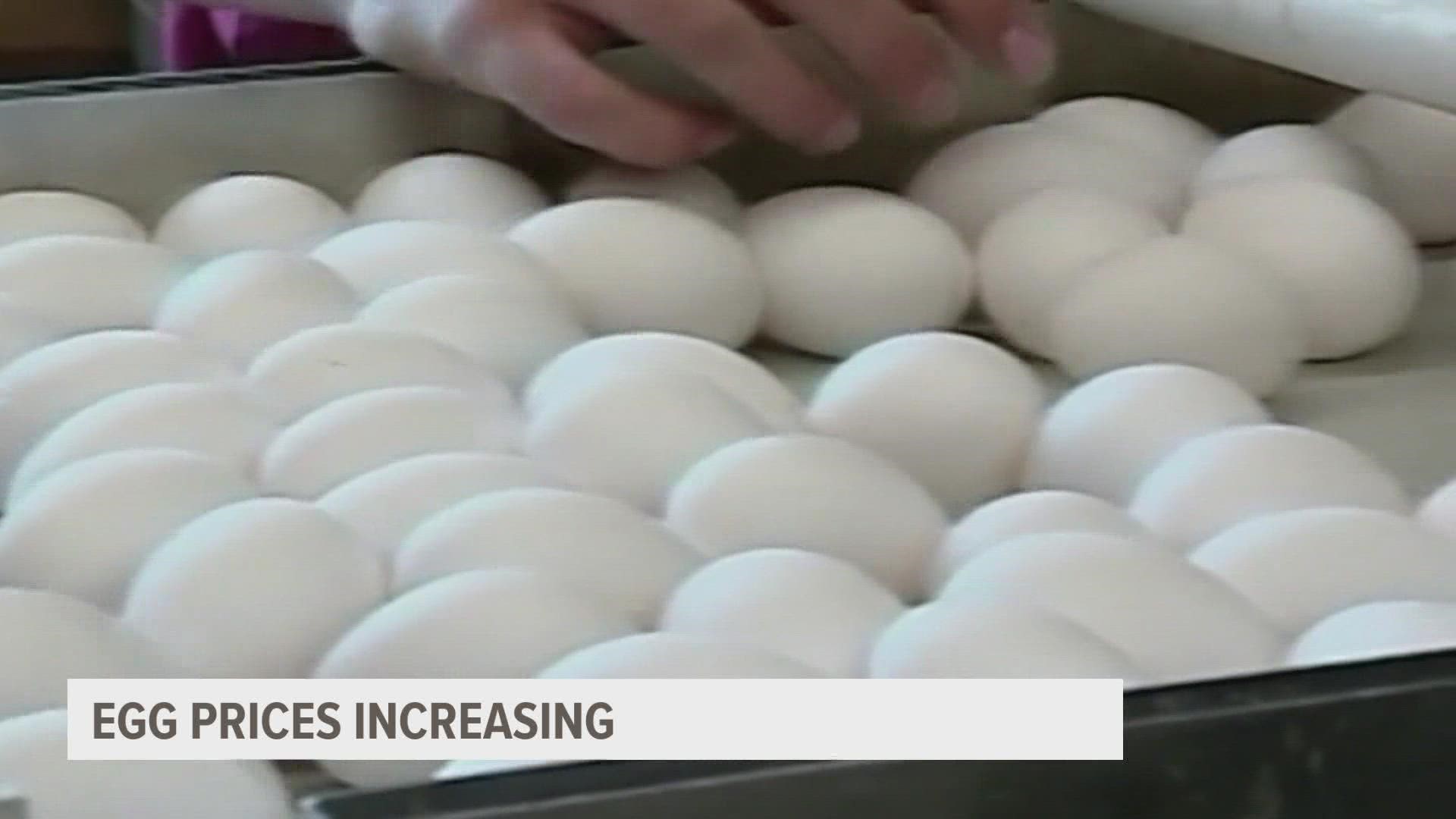 As egg prices increase one restaurant owner details how this is impacting her business.