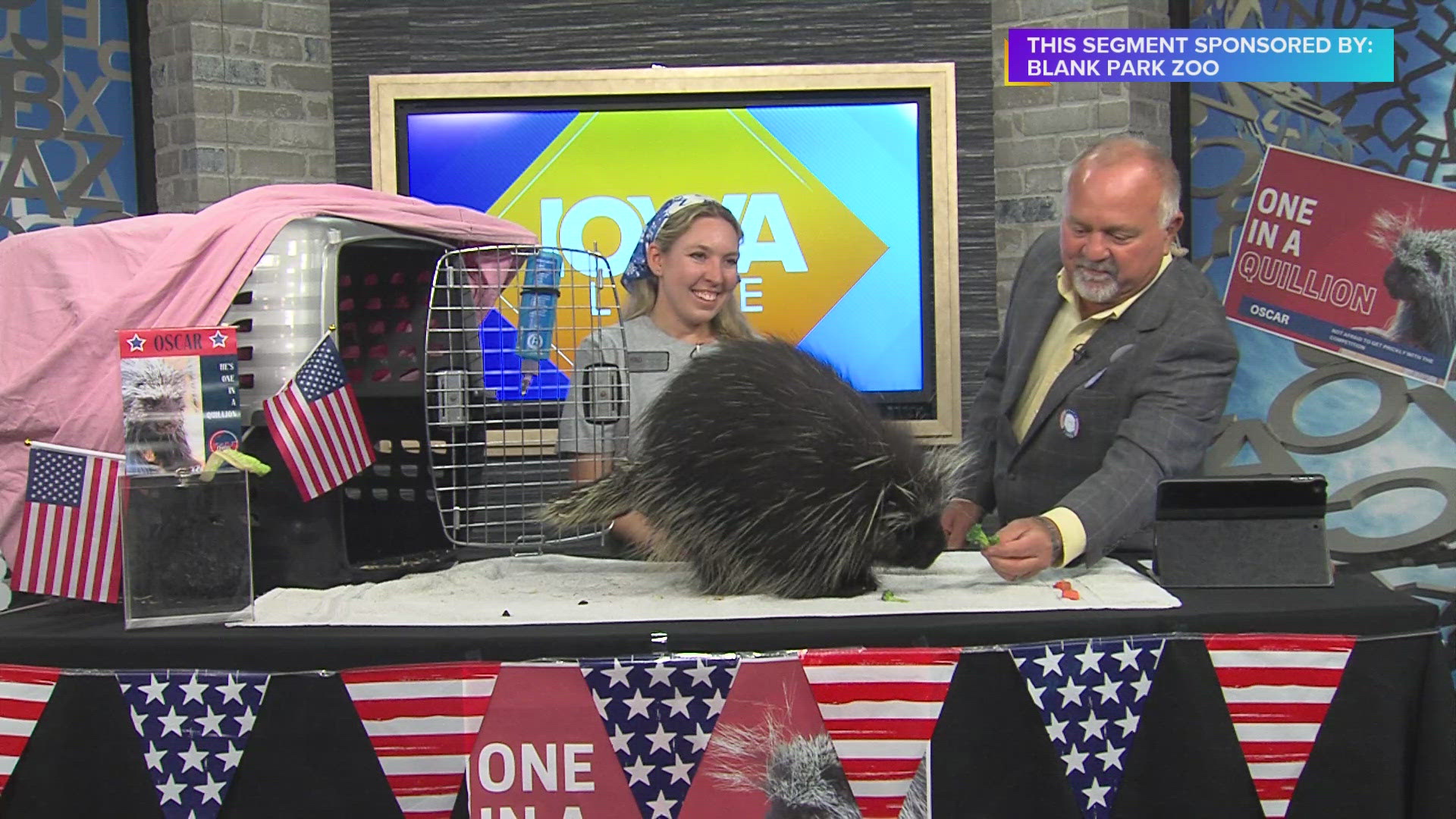 Oscar the Porcupine is one in a QUILLion! Cast your vote in the Blank Park Zoo Mayoral Election at blankparkzoo.com/vote | Paid Content