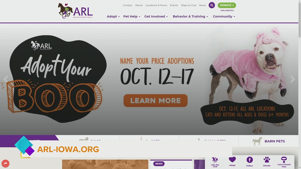 Name Your Price to "Adopt Your Boo" this weekend plus, Billy the Doggie at ARL of Iowa - Vimarsana News