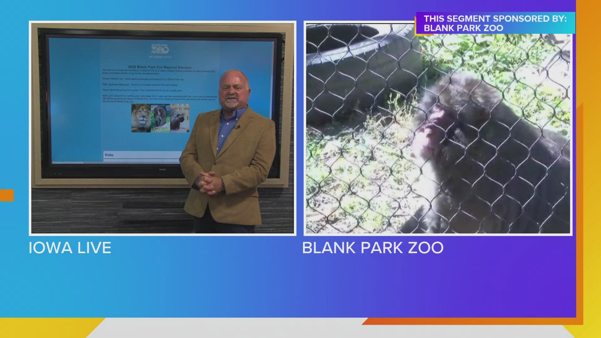 Kitsi the Snow Monkey, mayoral candidate at the Blank Park Zoo, joins Iowa Live to share why he's indisputably "the macaque who has your back"!