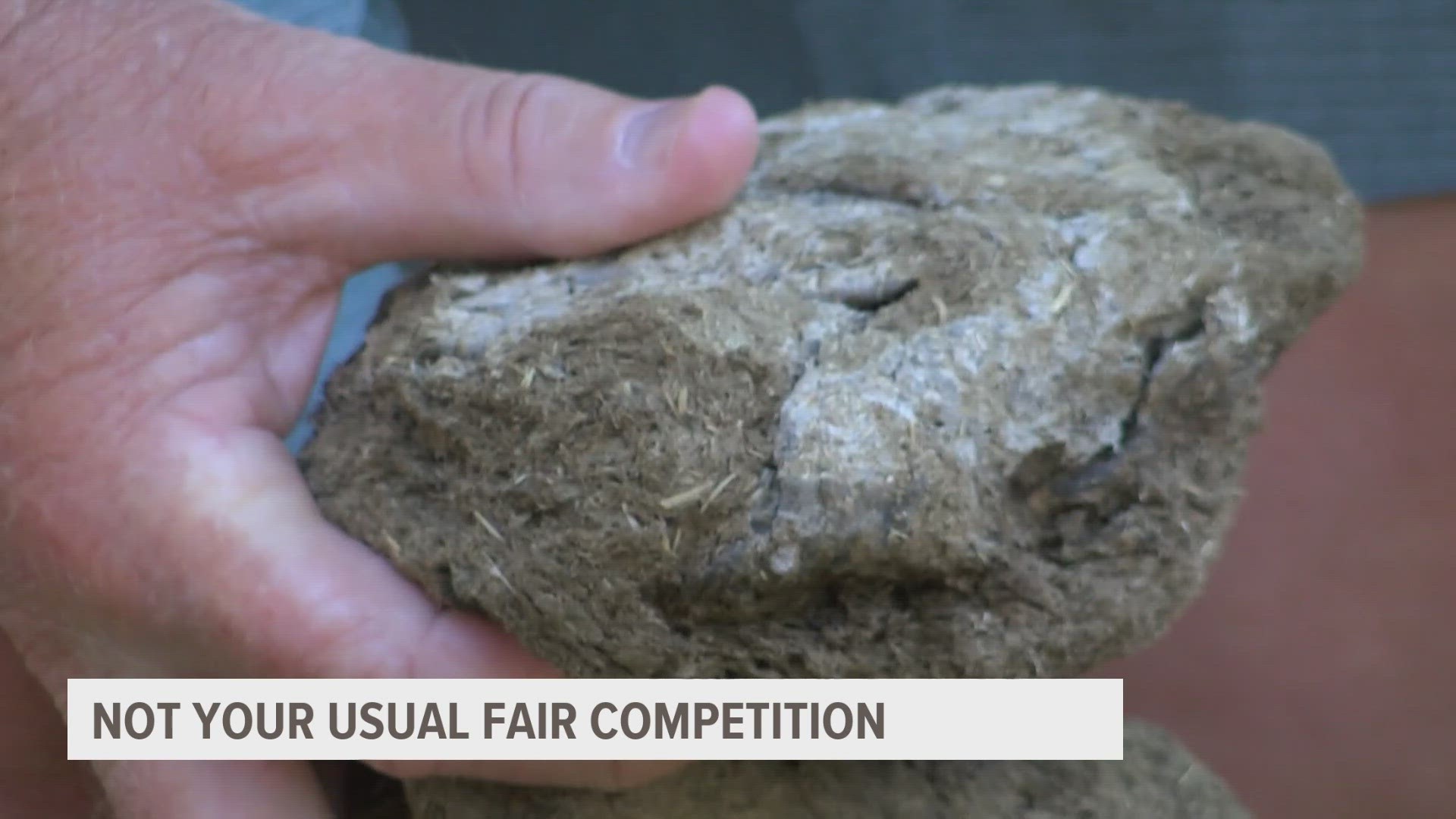 Hundreds of Iowans circled Pioneer Hall Wednesday to watch people attempt to throw cow poop as far as they can.