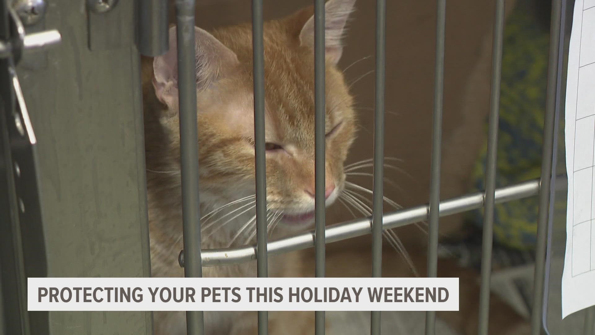 Experts recommend keeping your pets inside for the weekend, as fireworks may cause them to flee and get lost.