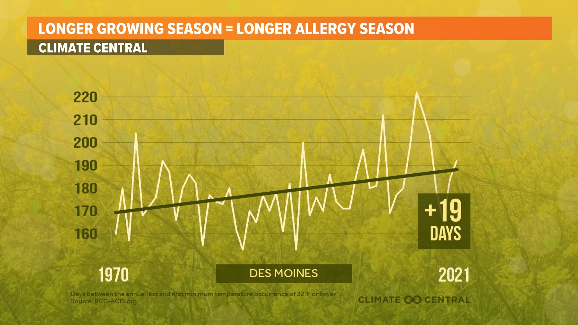 How Iowa's longer growing seasons will affect seasonal allergies