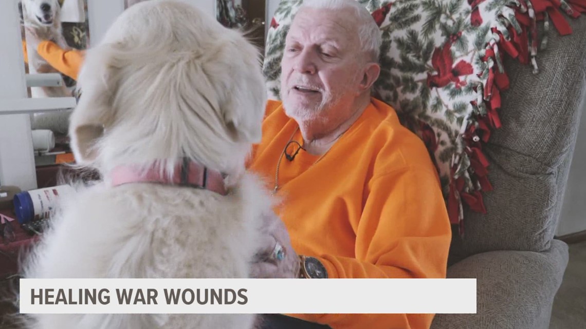 Denny & Simon, how man's best friend gave Korean War vet new purpose in life - Vimarsana News