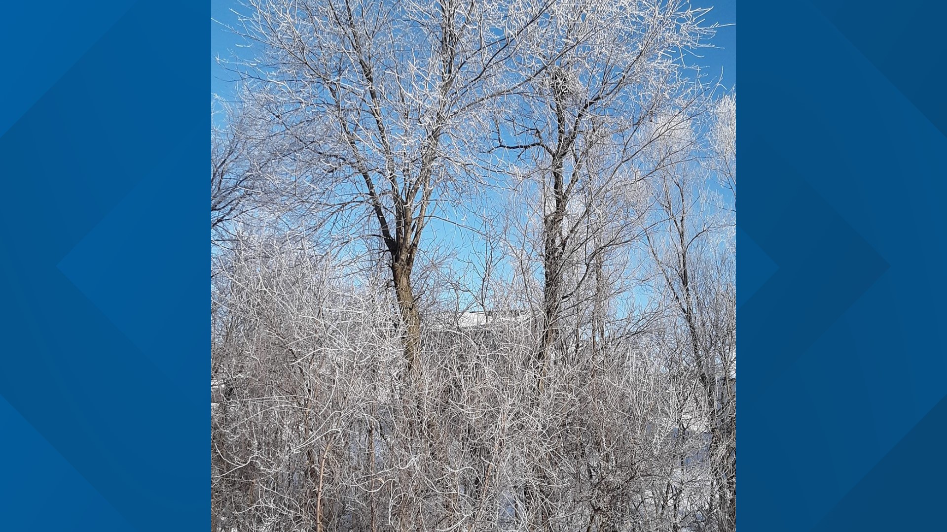 The Difference Between Hoar Frost And Rime Ice Weareiowa Com   Eddd9250 Fdae 41b4 8192 2891128271db 1920x1080 