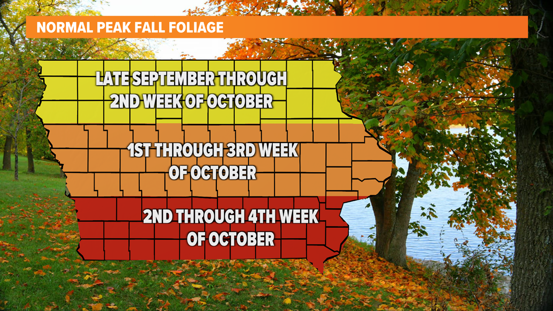 WEATHER LAB How weather influences fall foliage