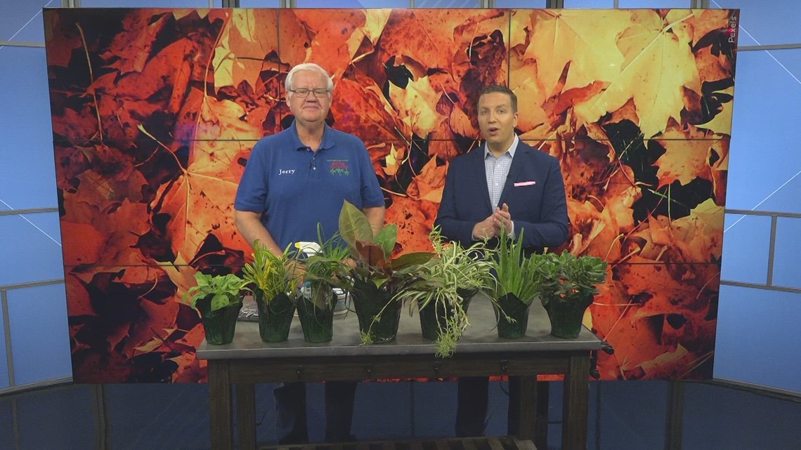 Holub Greenhouses shares watering advice as growing season ends