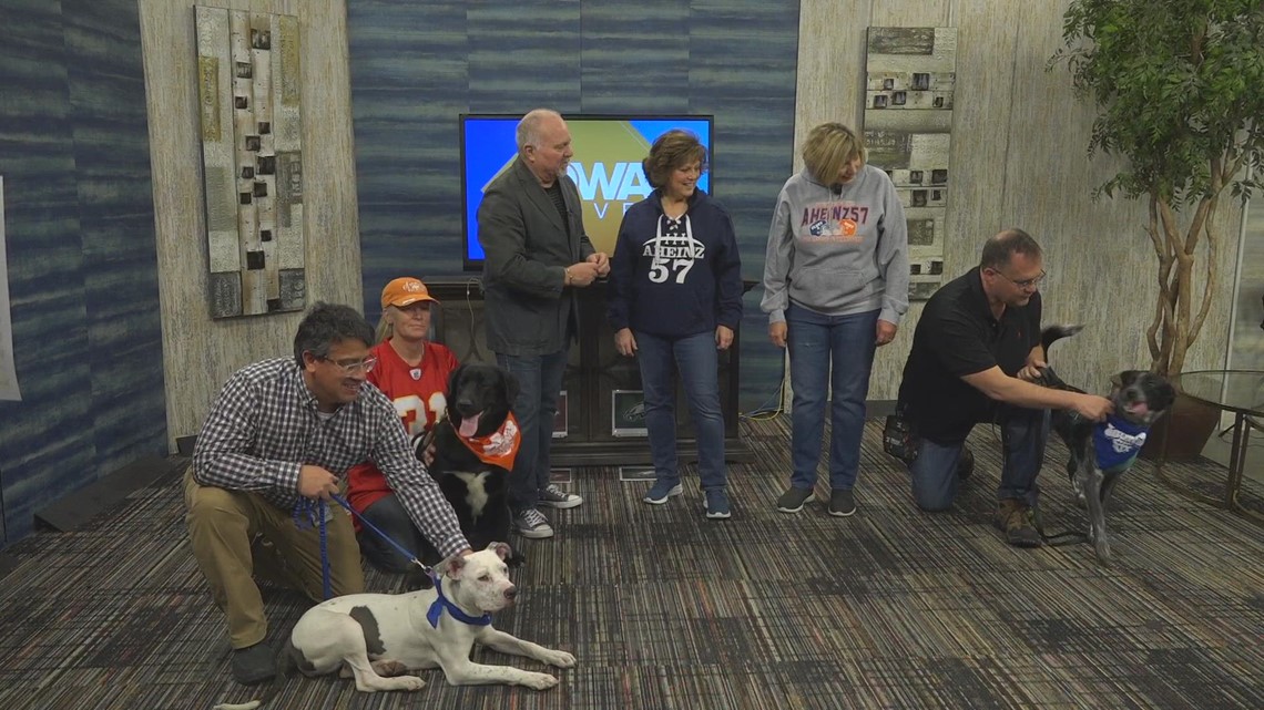 Meet the puppies from AHeinz57 Pet Rescue in De Soto