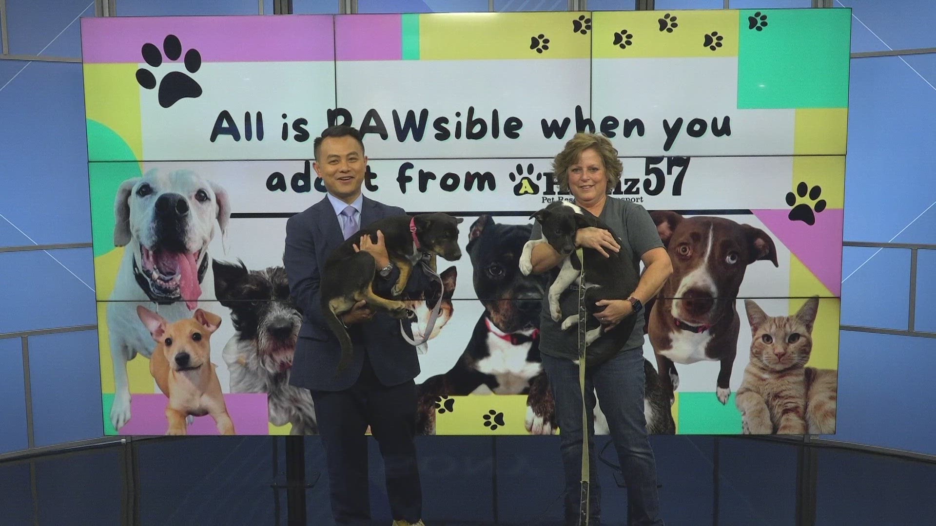 AHeinz57 stops by Local 5 News Midday to show off some more cute pups.