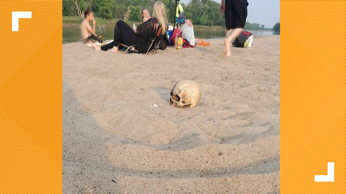 Yellow Banks Park: Iowa campers find possible human skull - Vimarsana News