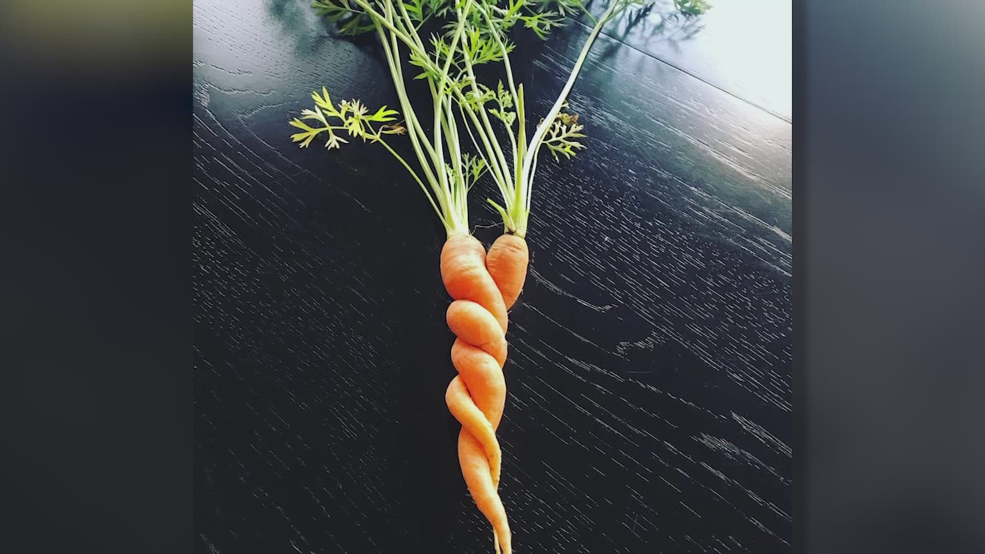 Iowans share their Happy Moments including a carrot with a twist, and two garden friends that defy gravity.