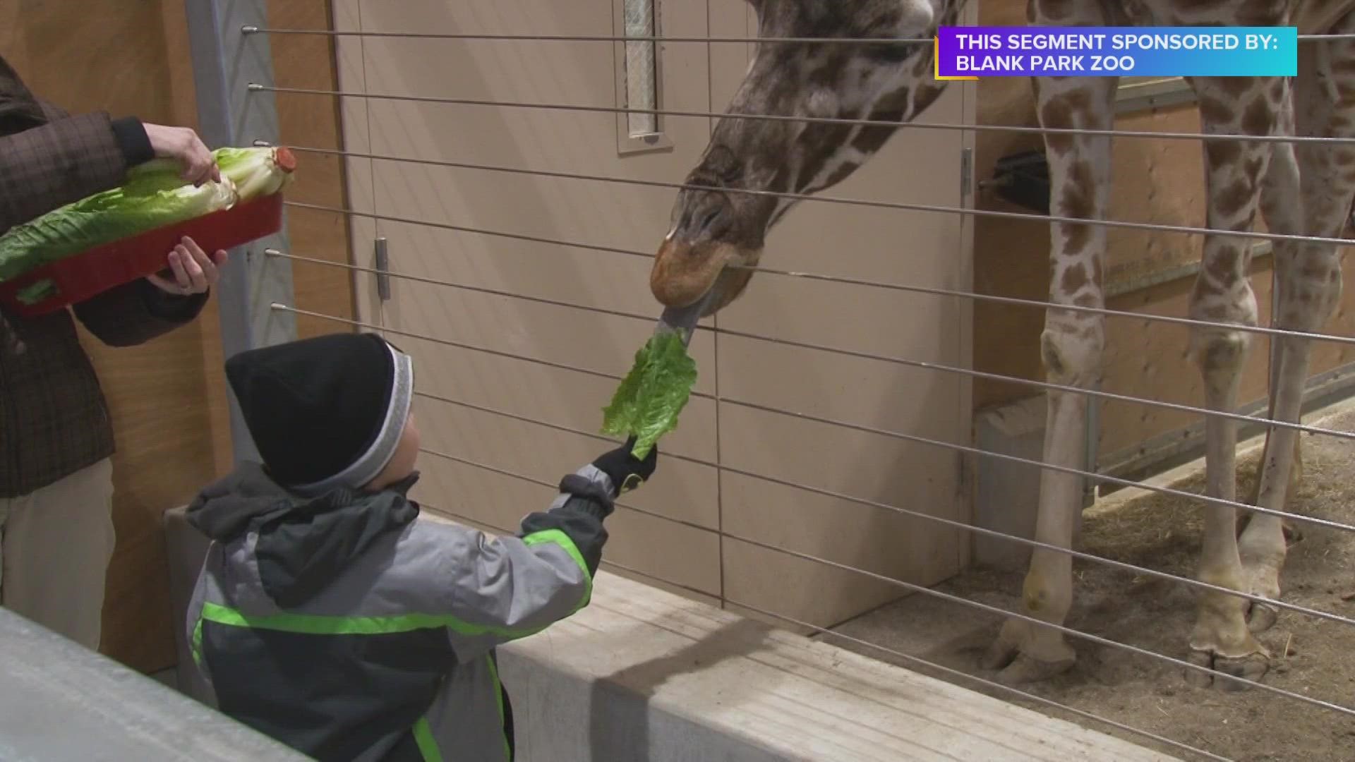 Winter Safari Camp at the Blank Park Zoo Paid Content