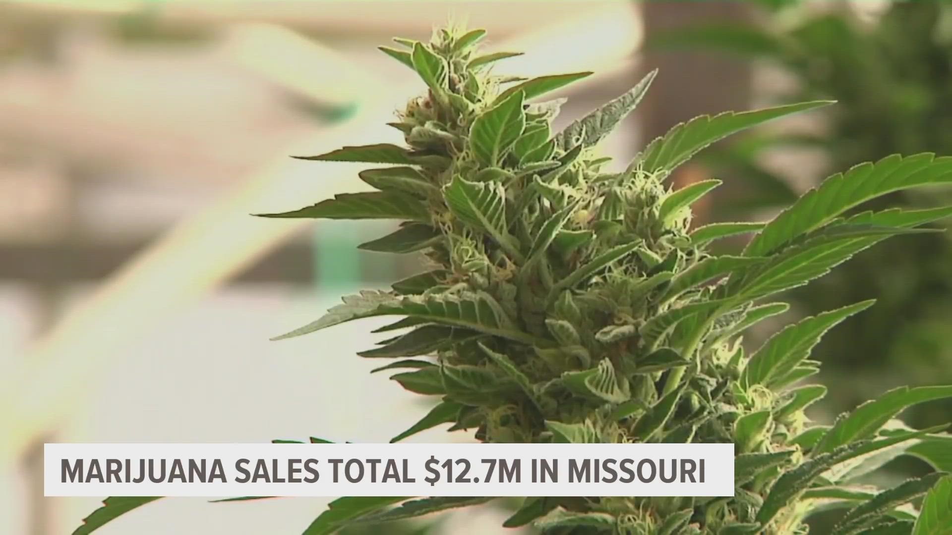 In the first weekend alone recreational sales totaled more than $8.5M and medical sales brought in another $4M, according to MDHSS.