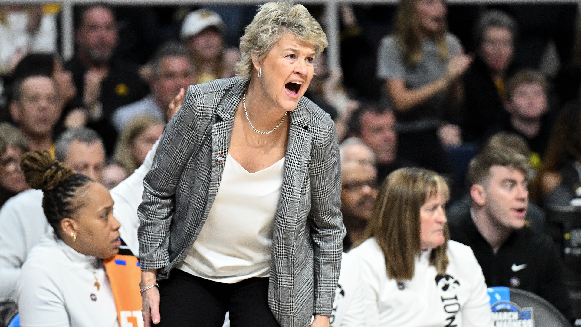 When Iowa basketball is mentioned, most think logo threes and the legend of Caitlin Clark — but, according to the players, the backbone of it all is their coach.
