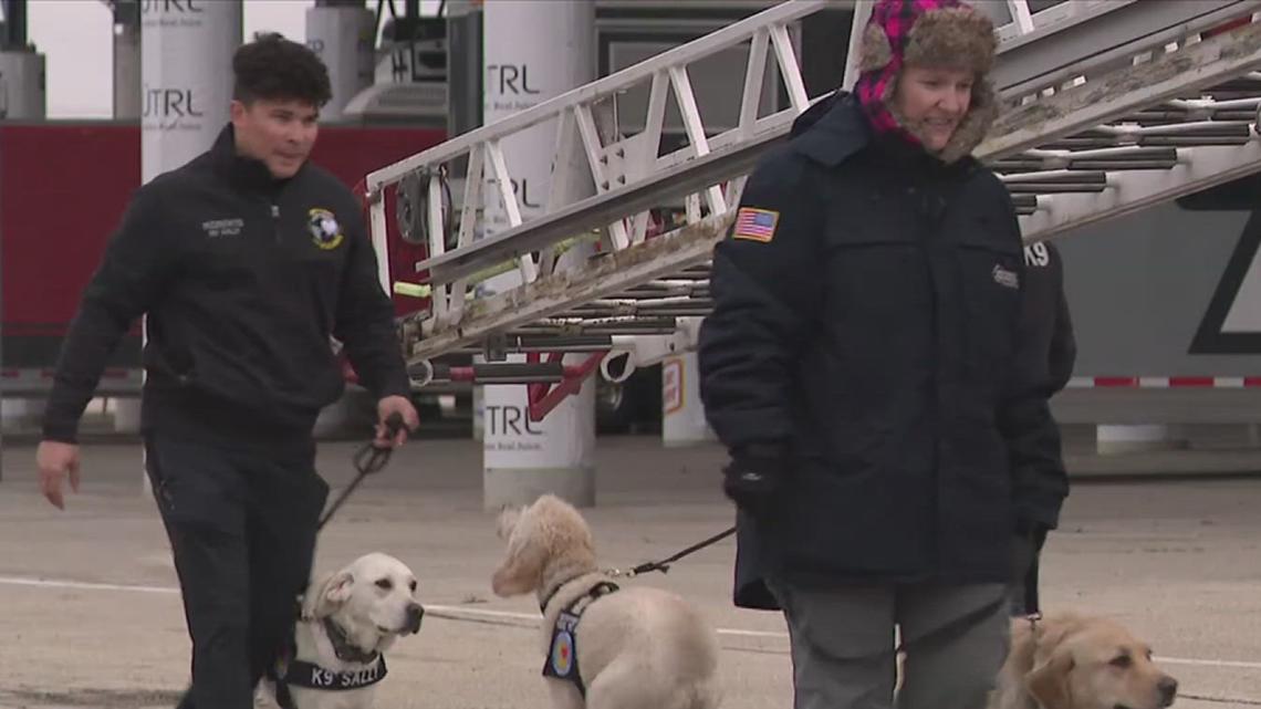 Crisis Response K-9s offer essential support in Iowa's emergency scenes | weareiowa.com