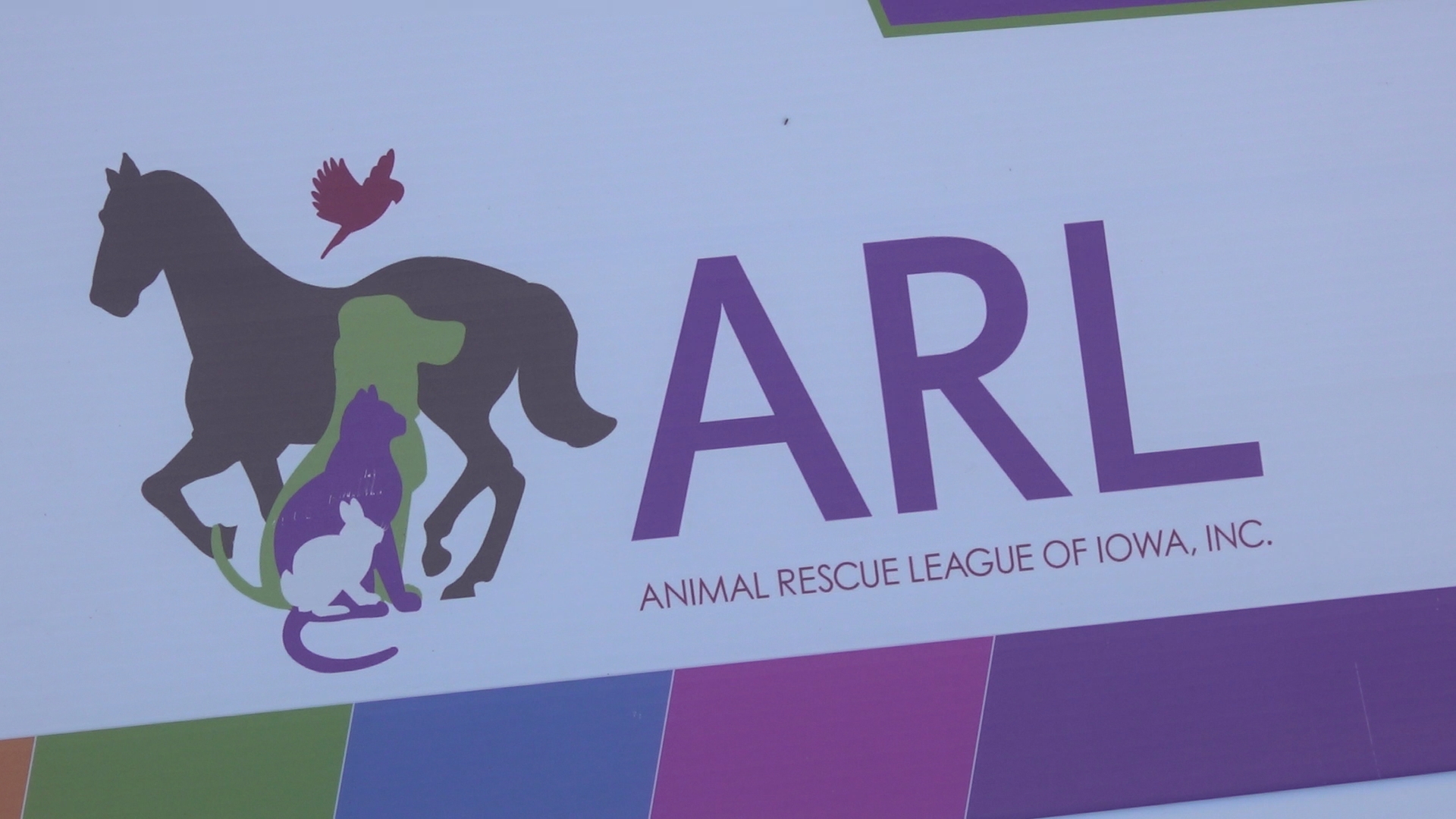 ARL rescues 37 cats and dogs from home in southern Iowa | weareiowa.com